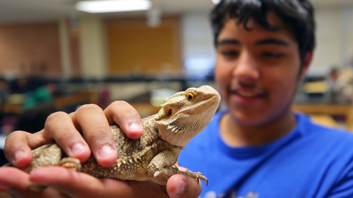 Student holds a lizard