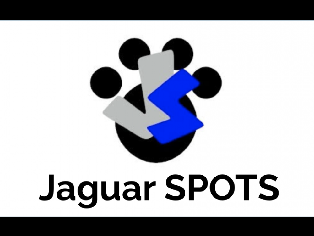 Jaguar spots logo